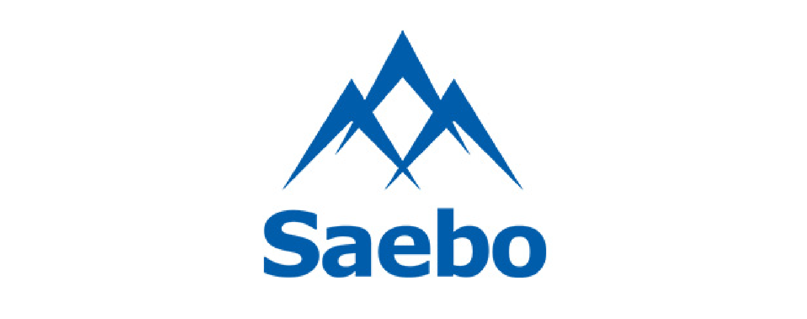 Saebo