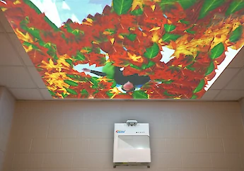 感官統合訓練用品