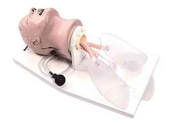 Medical Education